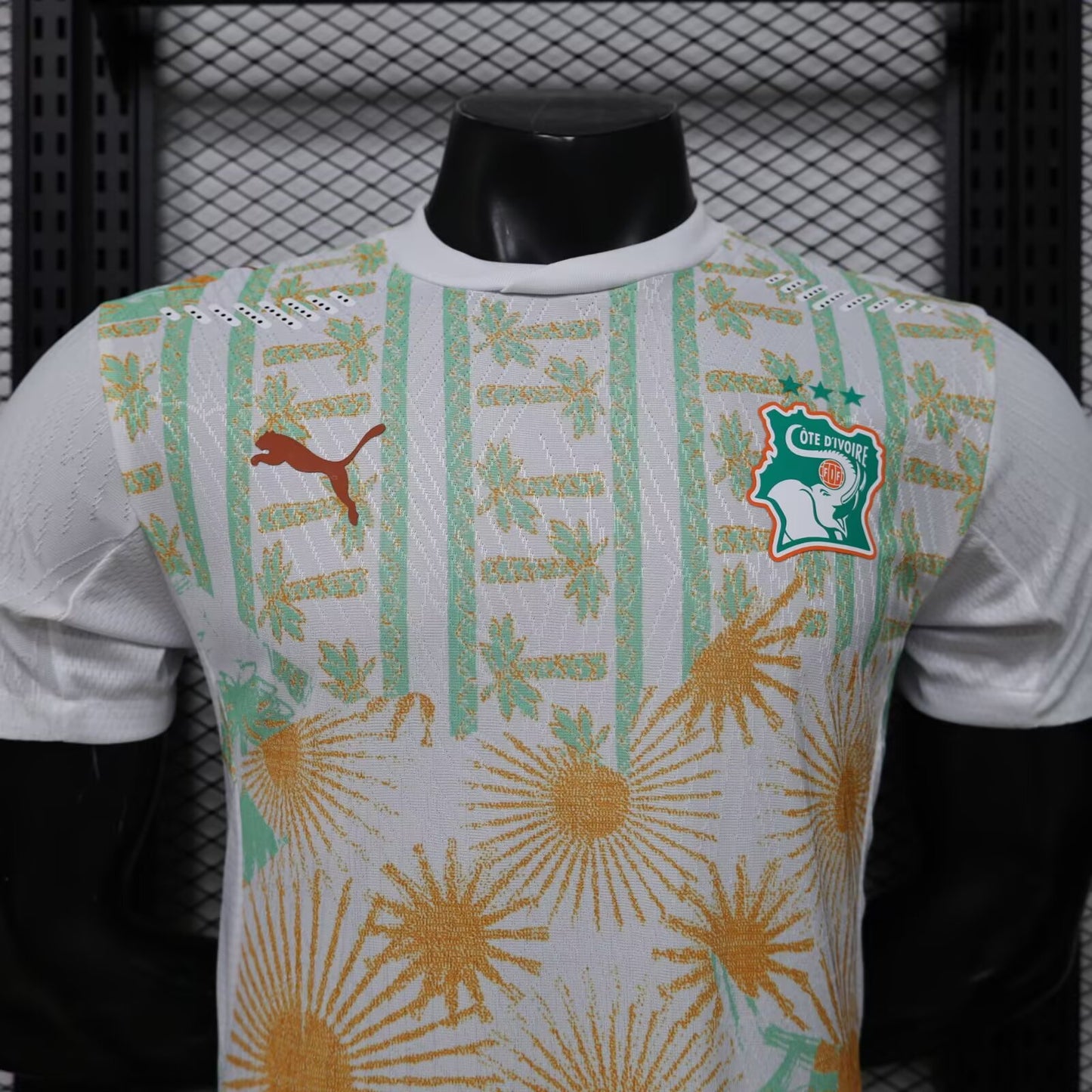 Maillot Extérieur des Éléphants — Édition 2026
