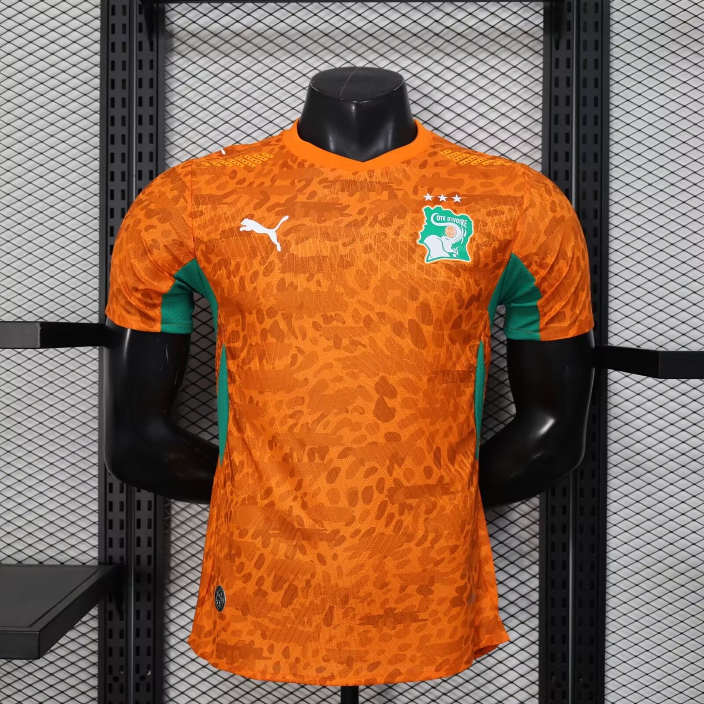 Maillot Côte d'Ivoire Domicile 2026